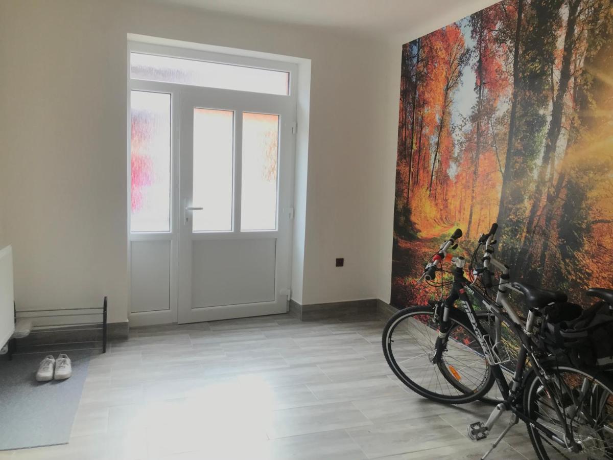 Cyklo-Moto Apartman Lomnice nad Luznici Exterior photo